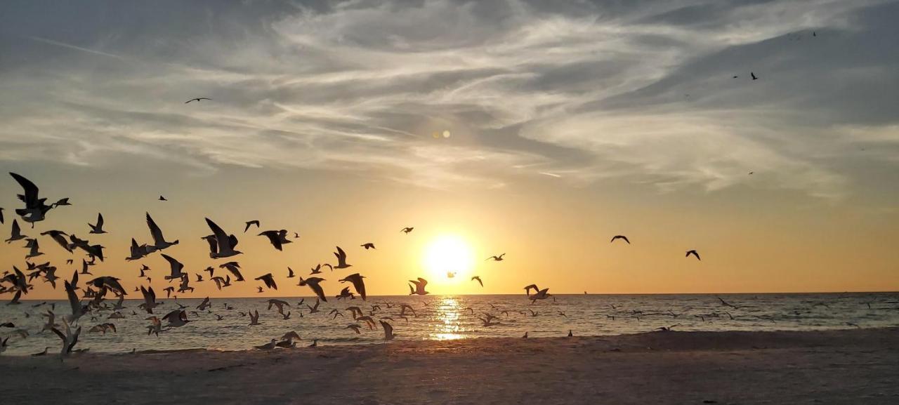 Vila Sunset Vistas 407S St. Pete Beach Exteriér fotografie